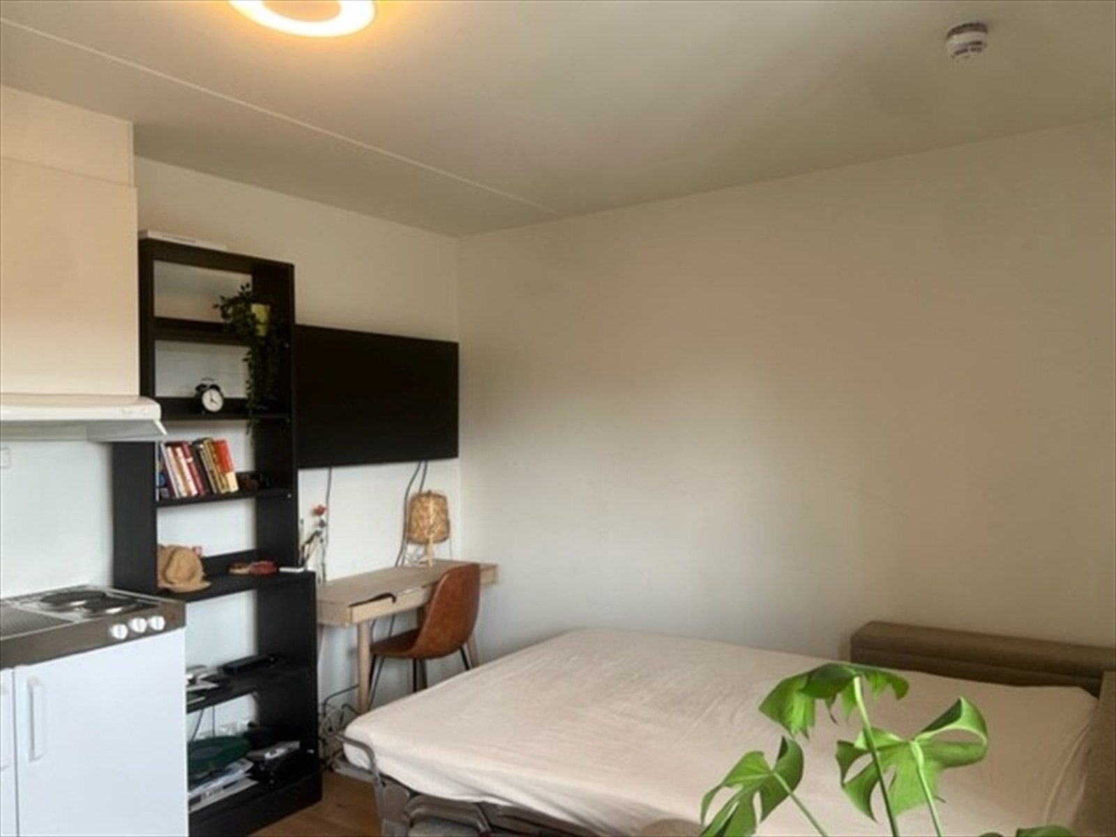 Sovesofa nedlagt som seng. Galleribilde