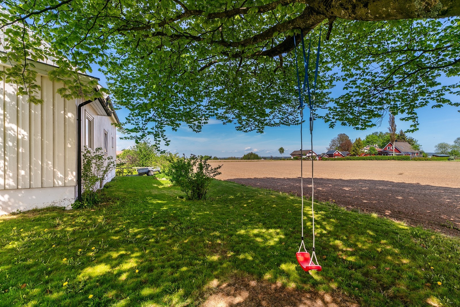 Sommerbilde: En huske henger fra det store treet, som gir et lekent preg til hagen. Galleribilde