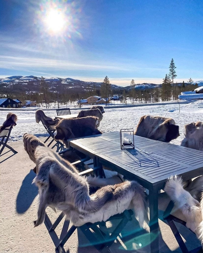Her møtes hyttefolket året rundt. I tillegg byr Brilleskille Bar på afterski og arrangementer i høytider og helger Galleribilde