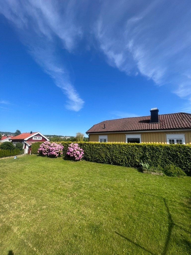 Hagen kommer til sin rett på sommerstid! Galleribilde