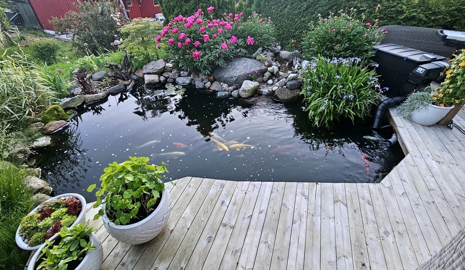 Idyll i hagen - karpedam og solrike uteplasser for alle værforhold. Galleribilde