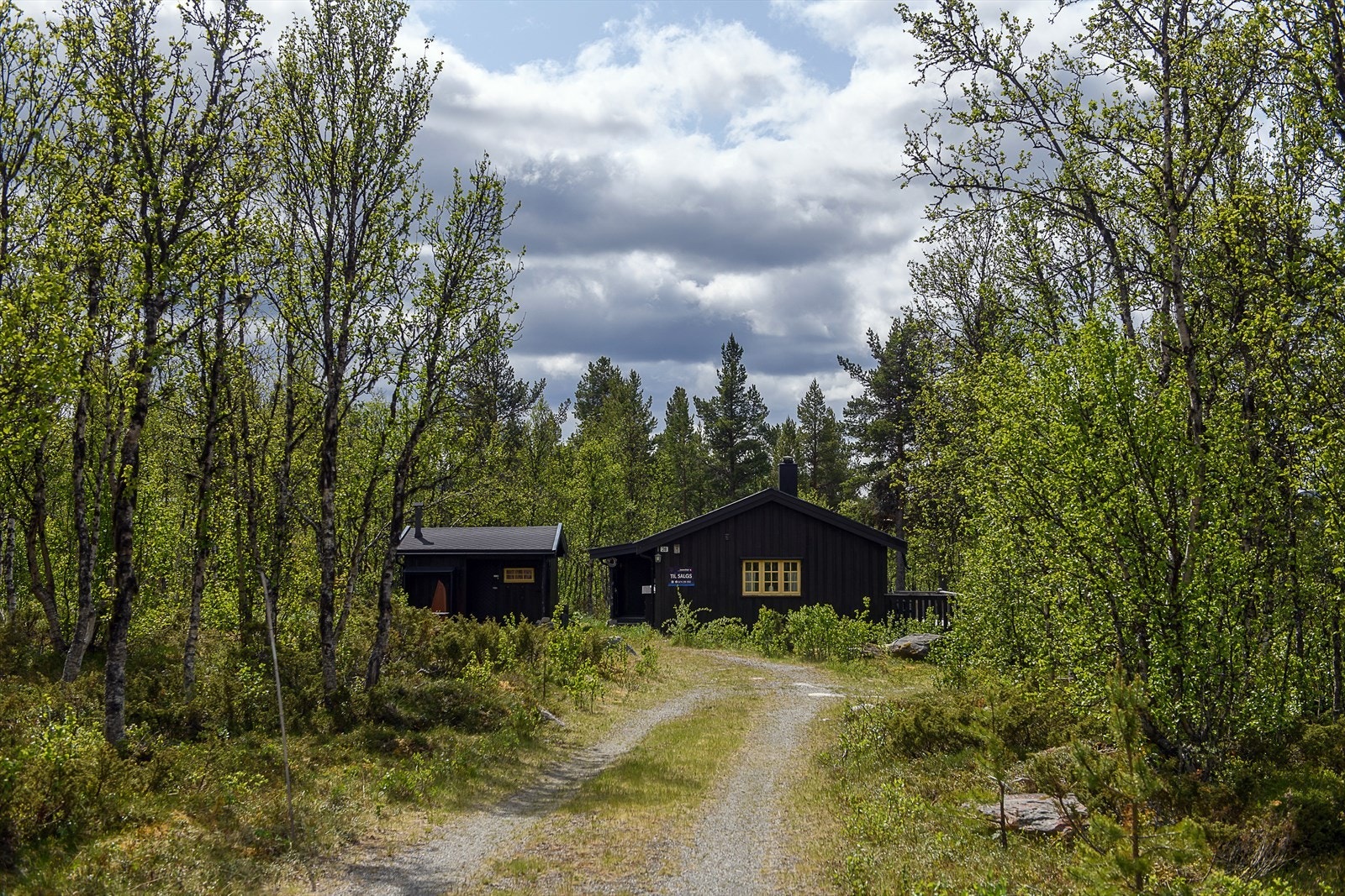 Bilvei helt frem Galleribilde