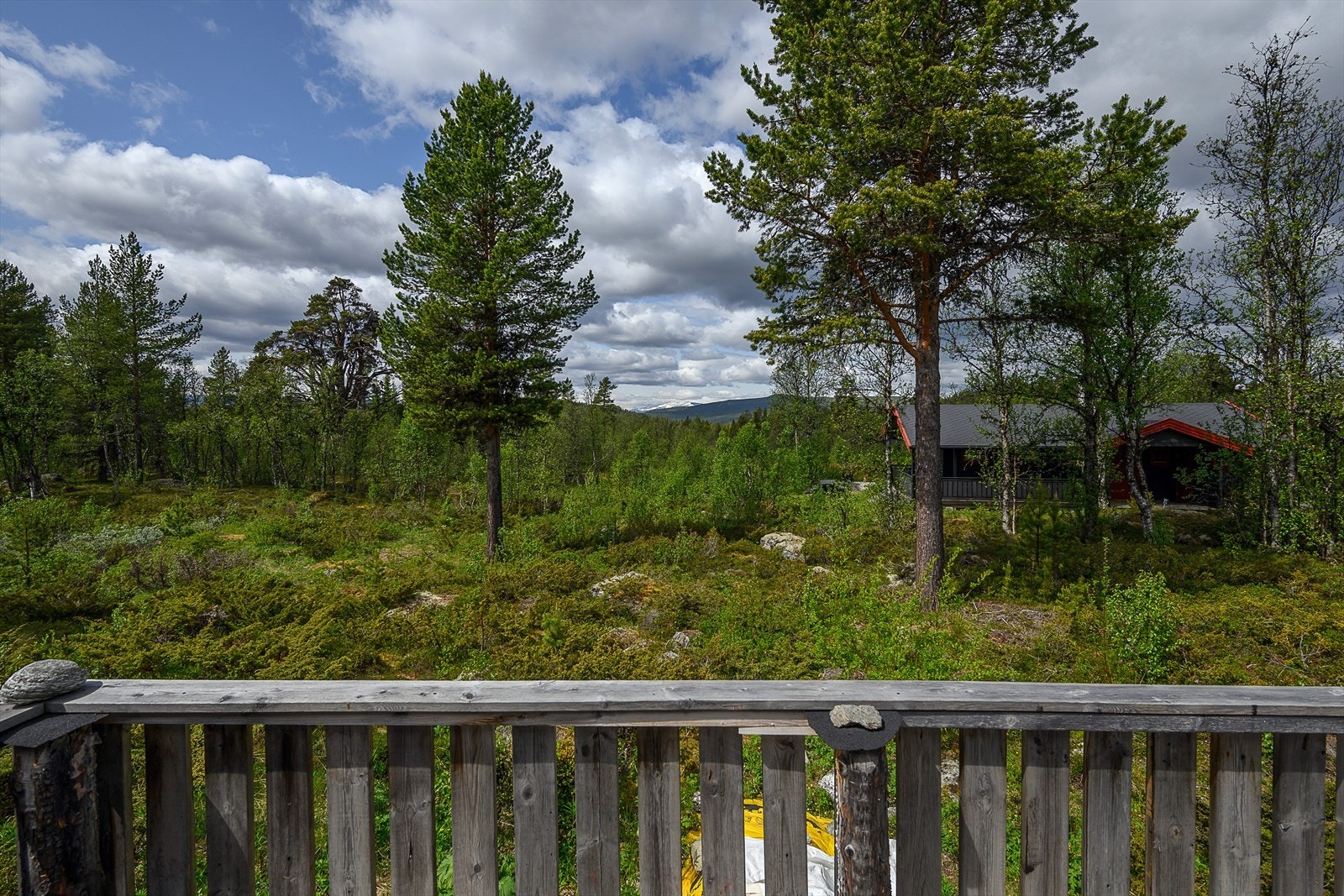 Utsikt fra terrassen Galleribilde