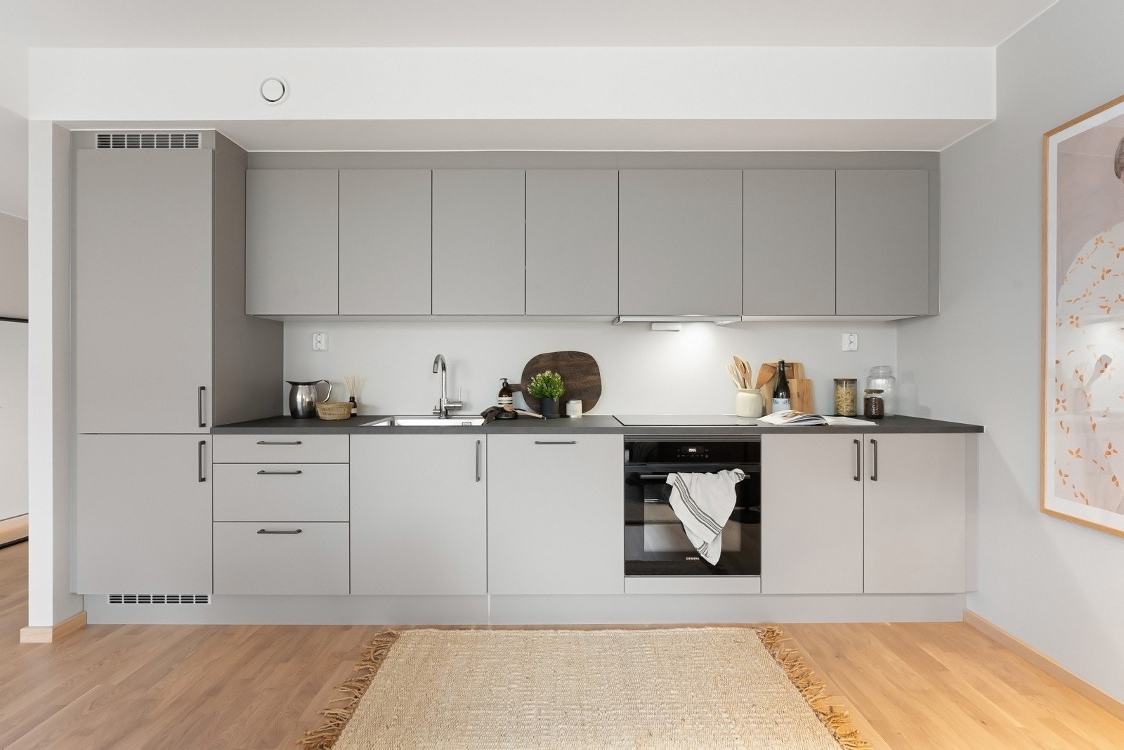 Integrerte hvitevarer som induksjonsovn med platetopp, kjøl/frys og oppvaskmaskin. Galleribilde