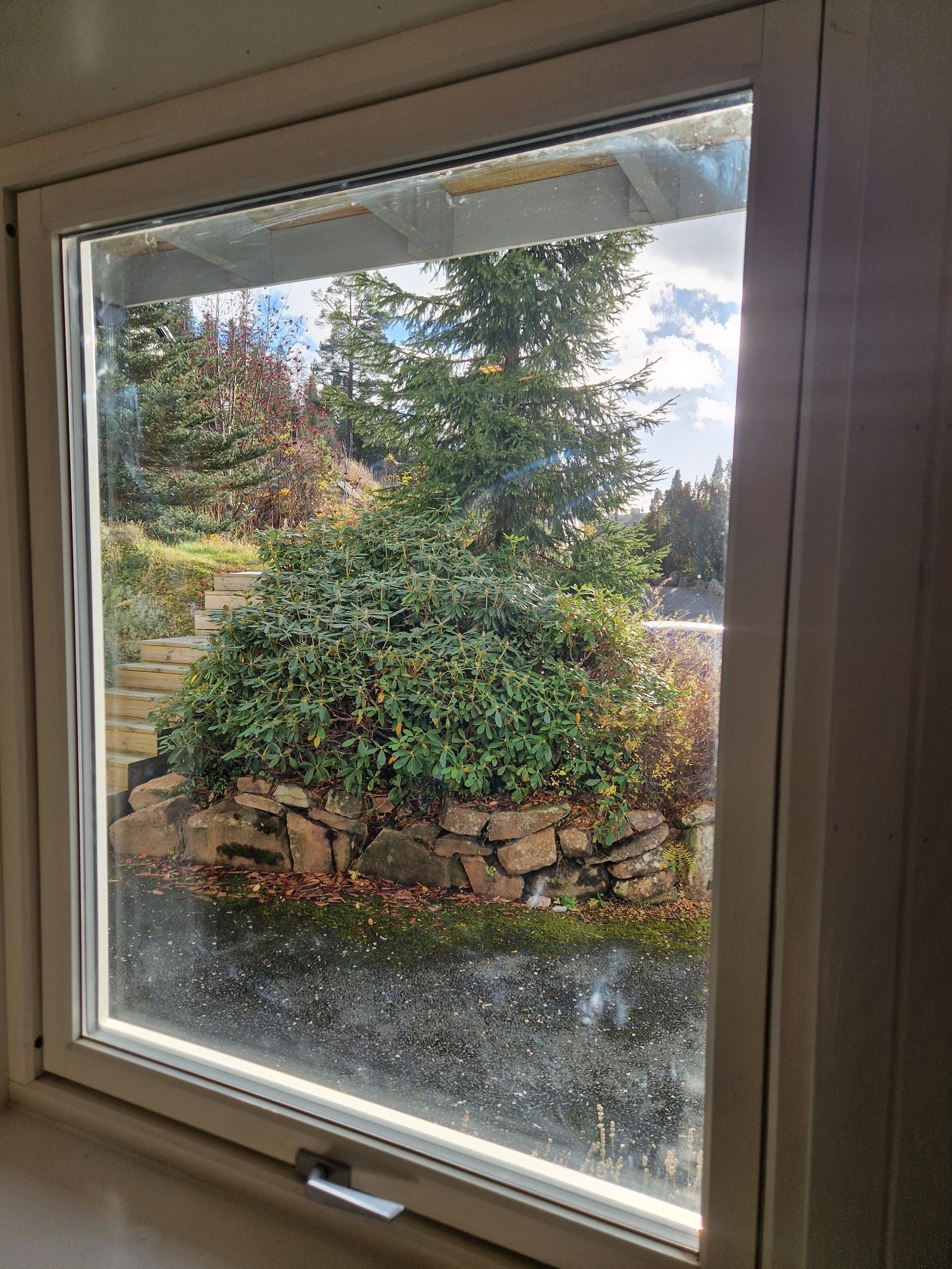 Vindu med utsikt mot den grønne og frodige hagen, som gir en nærhet til naturen. Galleribilde