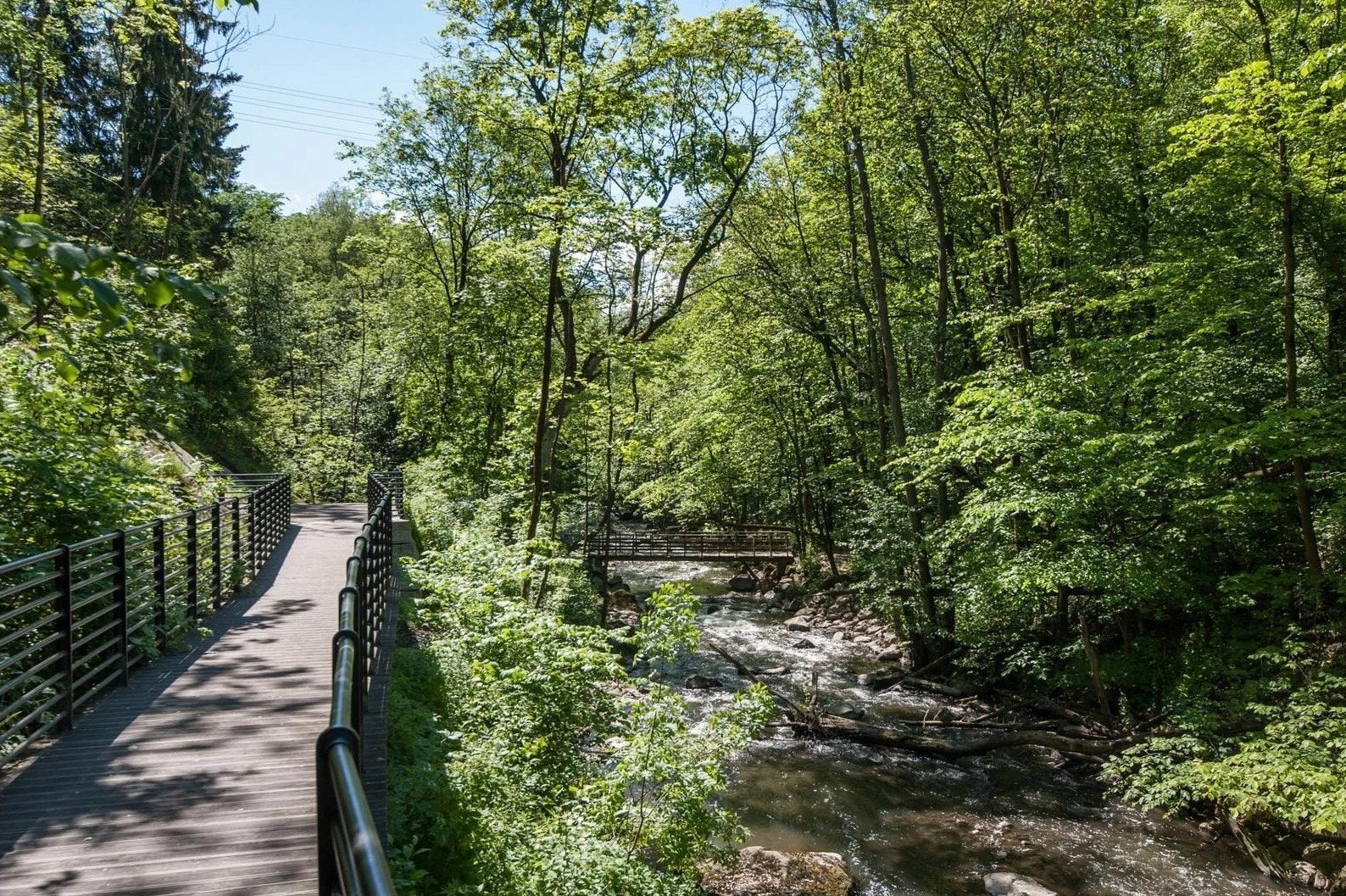 Det er kort vei til idylliske Svartdalsparken ved Alnaelva. Galleribilde