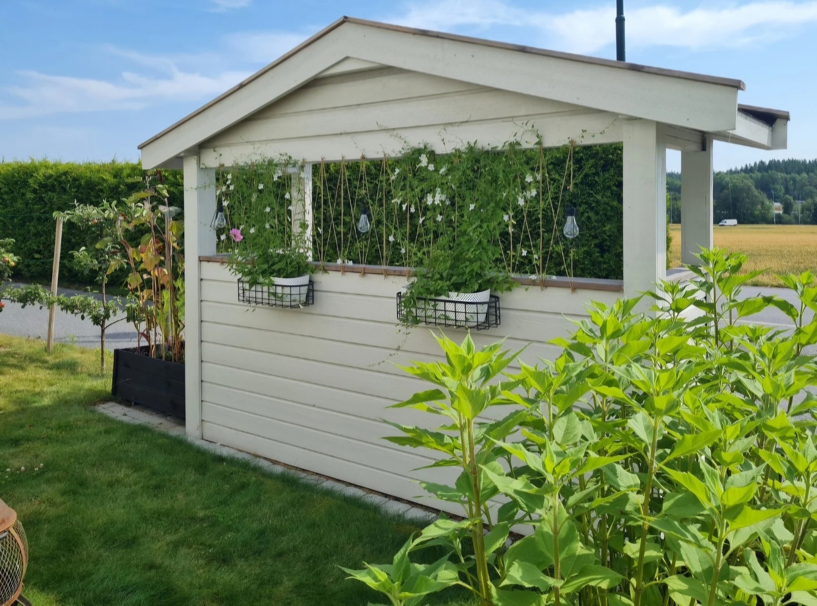 Bilde tatt av selger Galleribilde