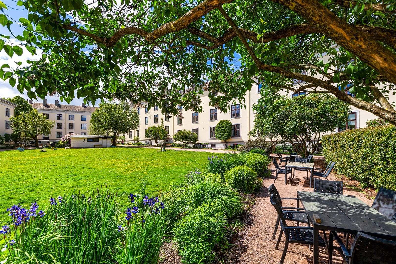 Felles tomt med store gressarealer og sittegrupper gir gode muligheter for sosialt samvær. Galleribilde