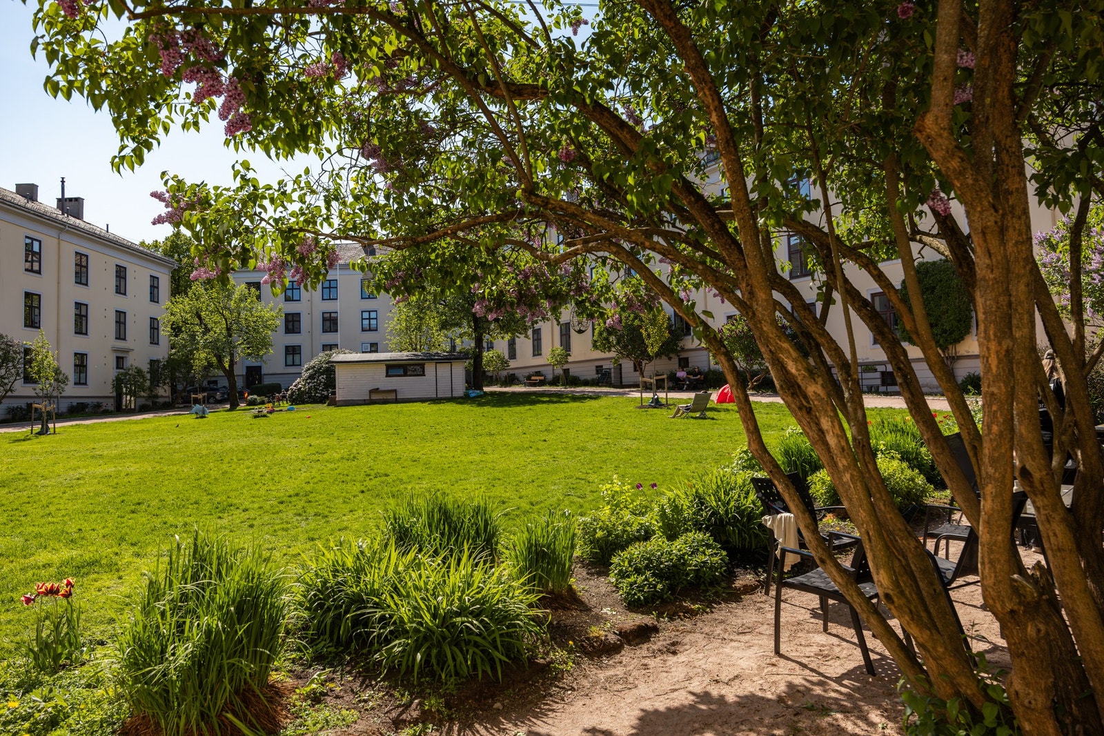 Praktfull bakgård som bør oppleves! Galleribilde