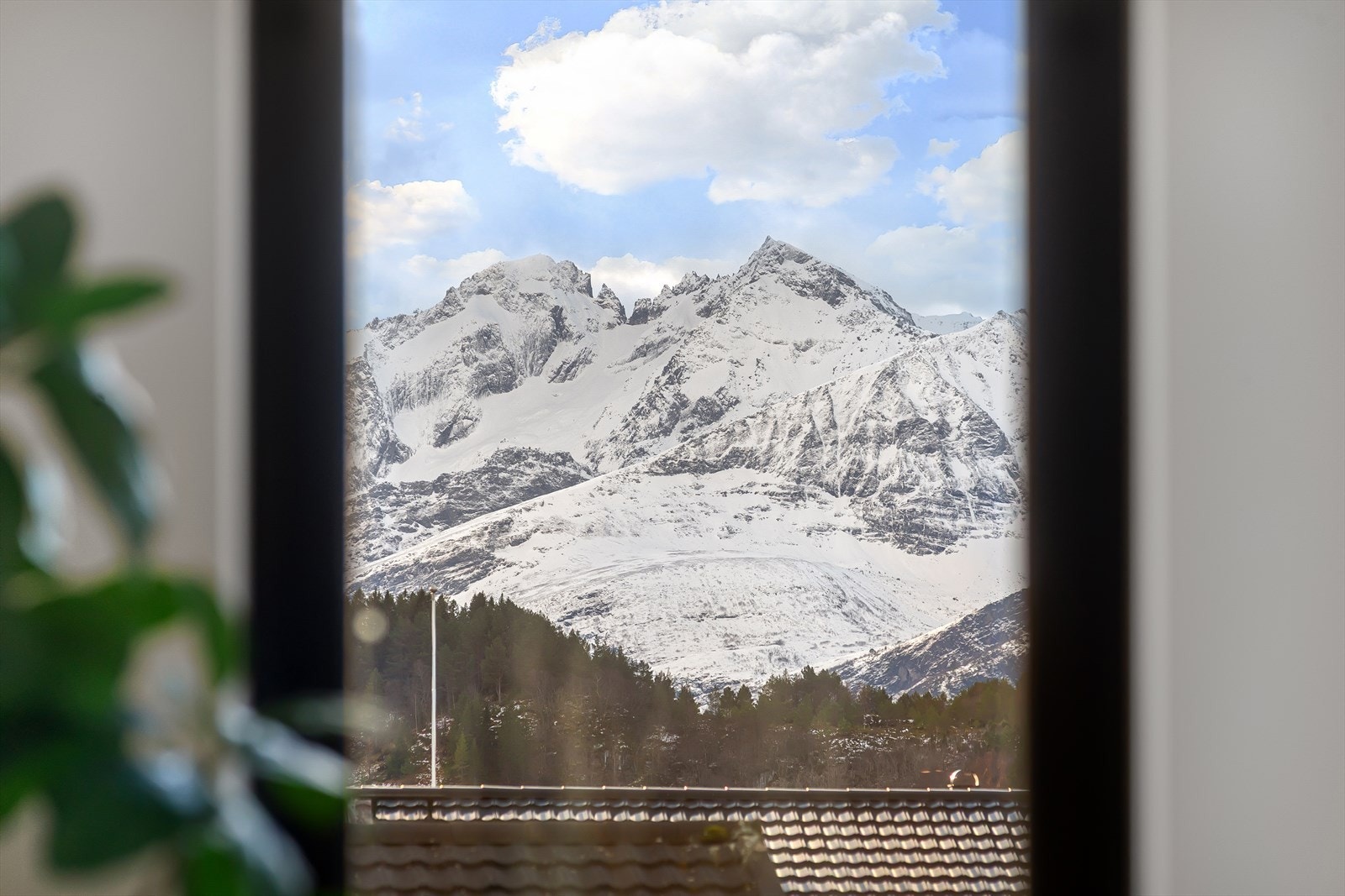 Nyedlig utsikt fra leilighetens mange vinduer som går fra gulv til tak. Galleribilde