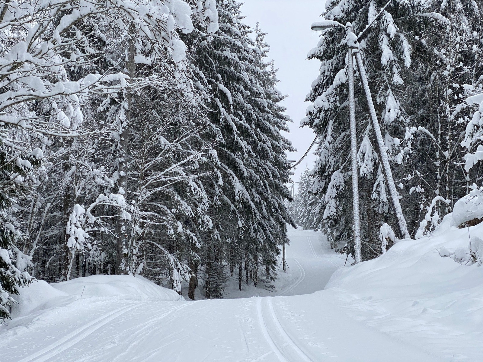 Legg gjerne turen opp til Botnemarka for preparerte lysløyper om vinteren, og flotte turstier om sommeren Galleribilde
