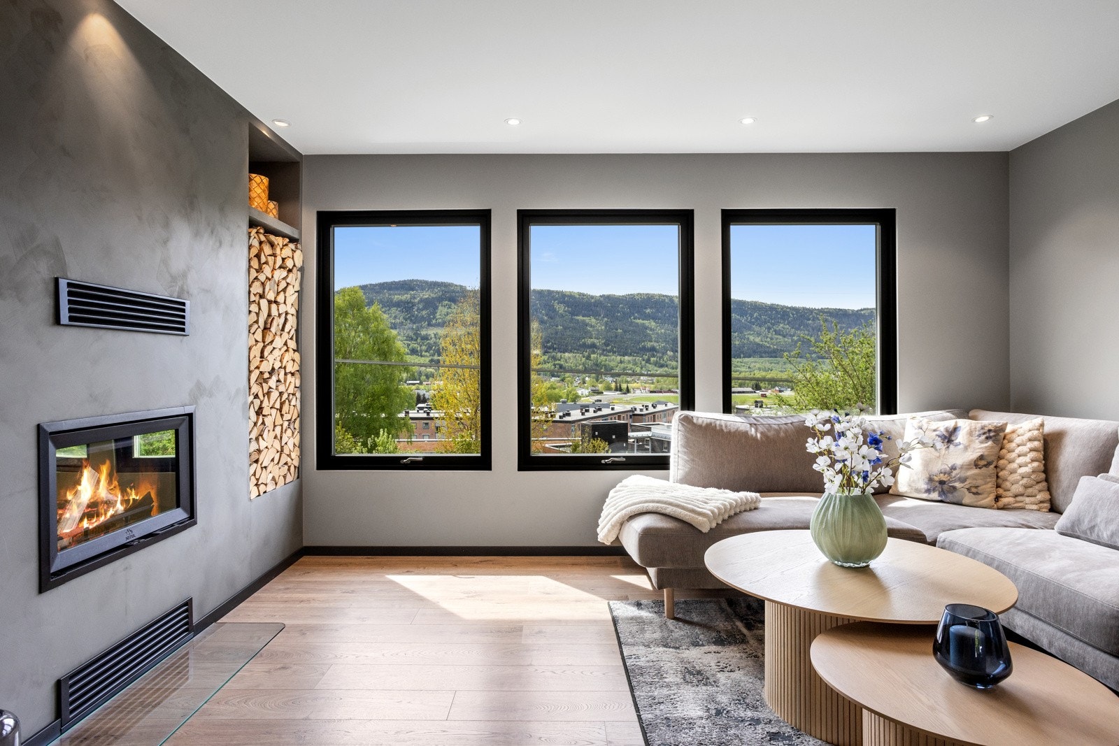 Nye vinduer rammer inn den flotte utsikten Galleribilde