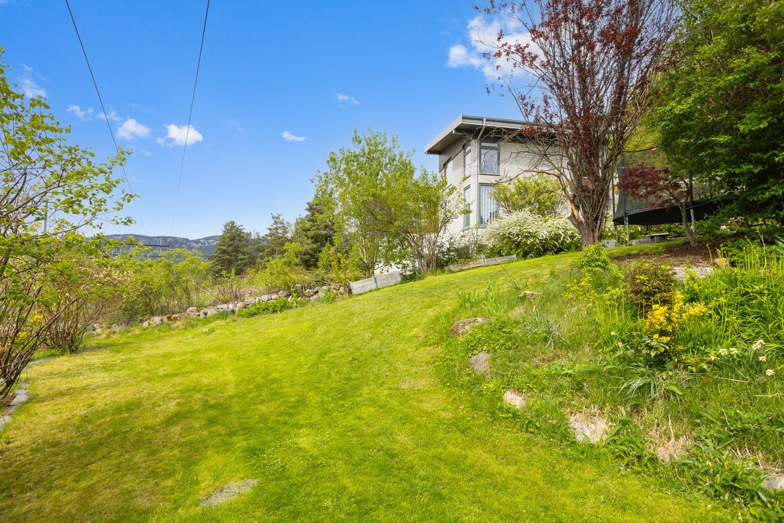 Store, flotte grønne utearealer nedenfor boligen Galleribilde