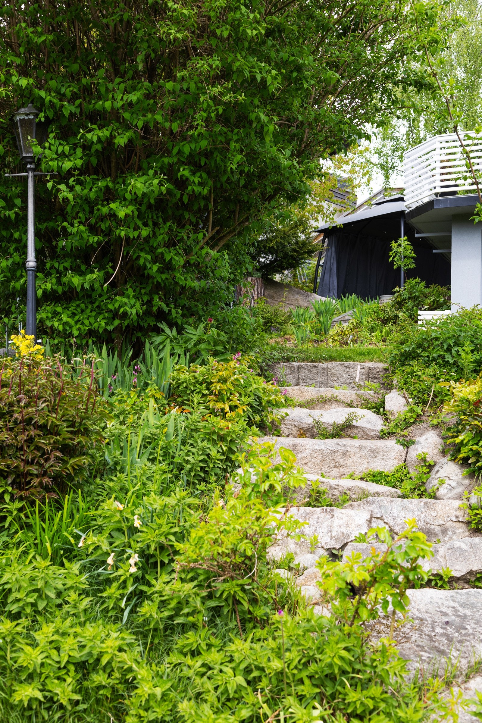 Steintrapp fra det ene terrengnivået ned til det andre Galleribilde