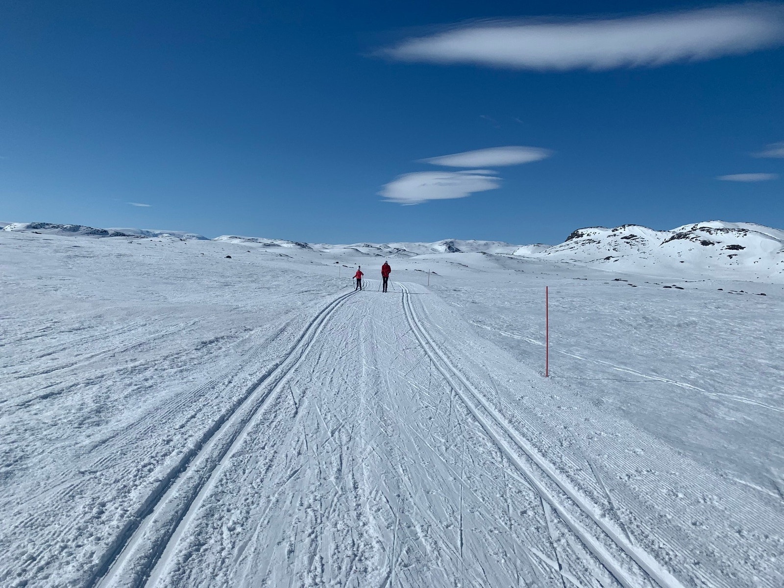 Mil netter mil med skiløyper!
(selgers eget bilde) Galleribilde