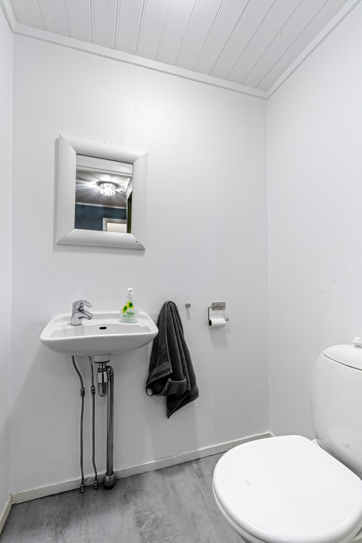 Gjestetoalett. Galleribilde