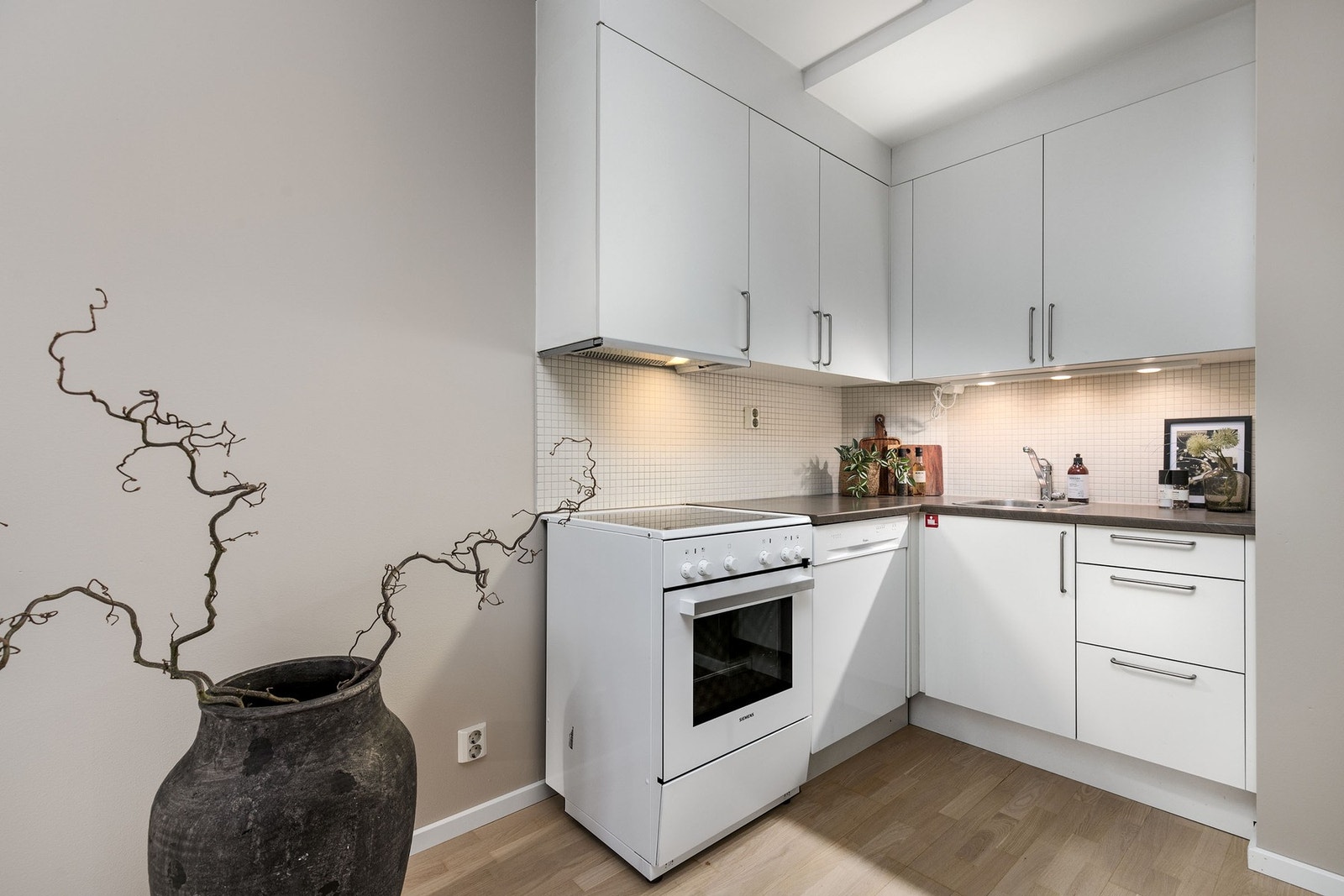 Kjøkkenet har avsatt plass til komfyr, oppvaskmaskin og kjøleskap. Galleribilde