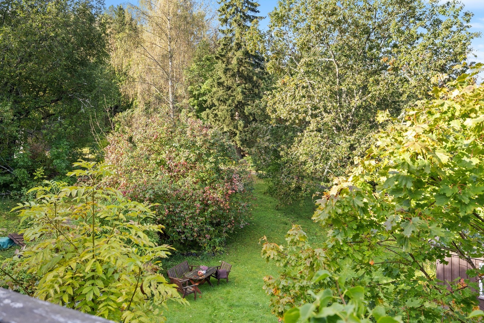 Tomten er opparbeidet med plen, hekk og trær. Galleribilde