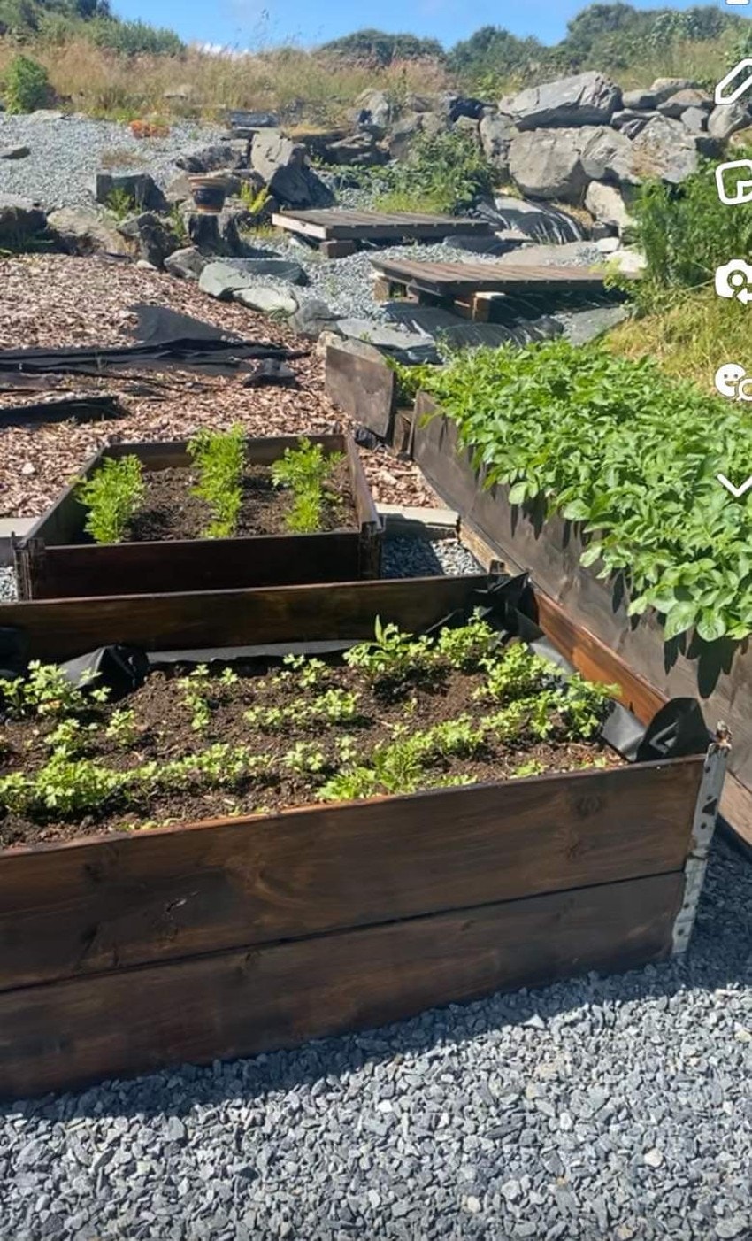 IMG-4359 Galleribilde