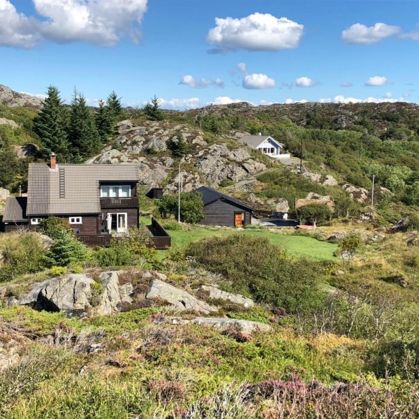 IMG_2195 Galleribilde