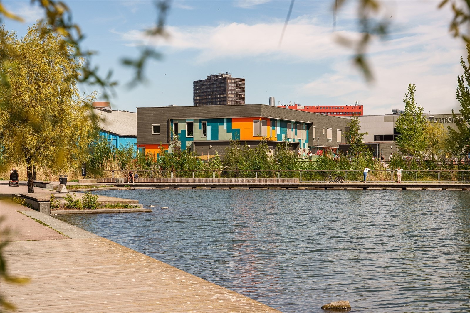 Teglverksdammen byr på rolige stunder i vannkanten, yrende fugleliv og flotte turområder i begge retninger. Galleribilde