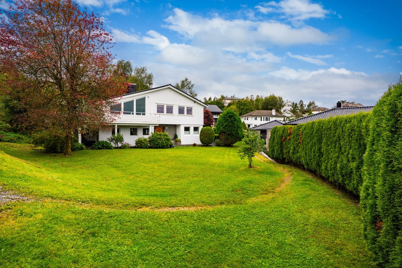 Fantastiske uteområder! Galleribilde