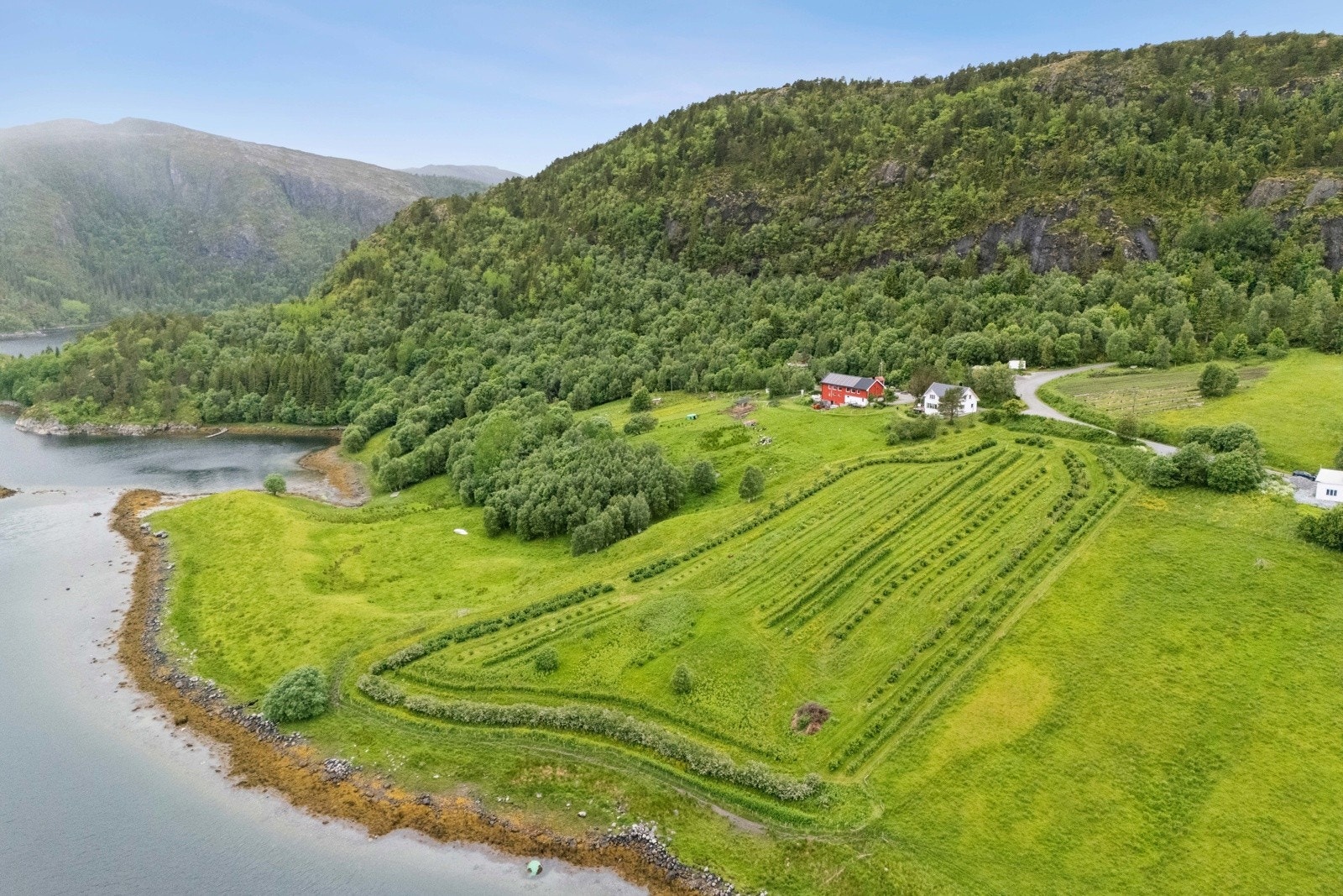 Gårdstun med bær- og frukthage Galleribilde