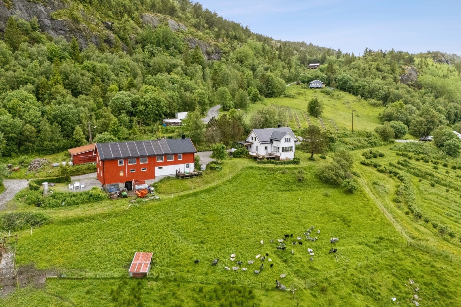 Gårdstun Galleribilde