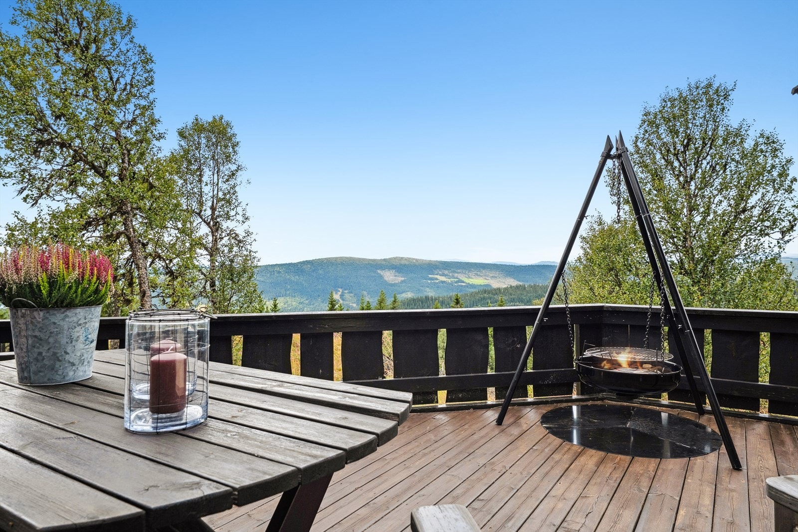 Høyt og fritt på Venabygdsfjellet. Galleribilde