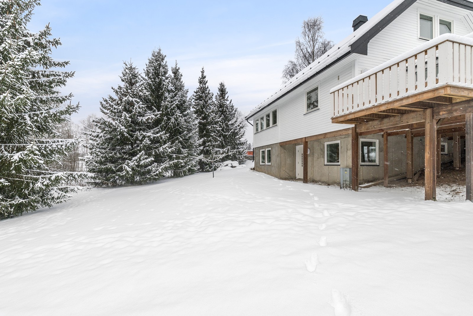 Hage med plen og beplantning. Galleribilde