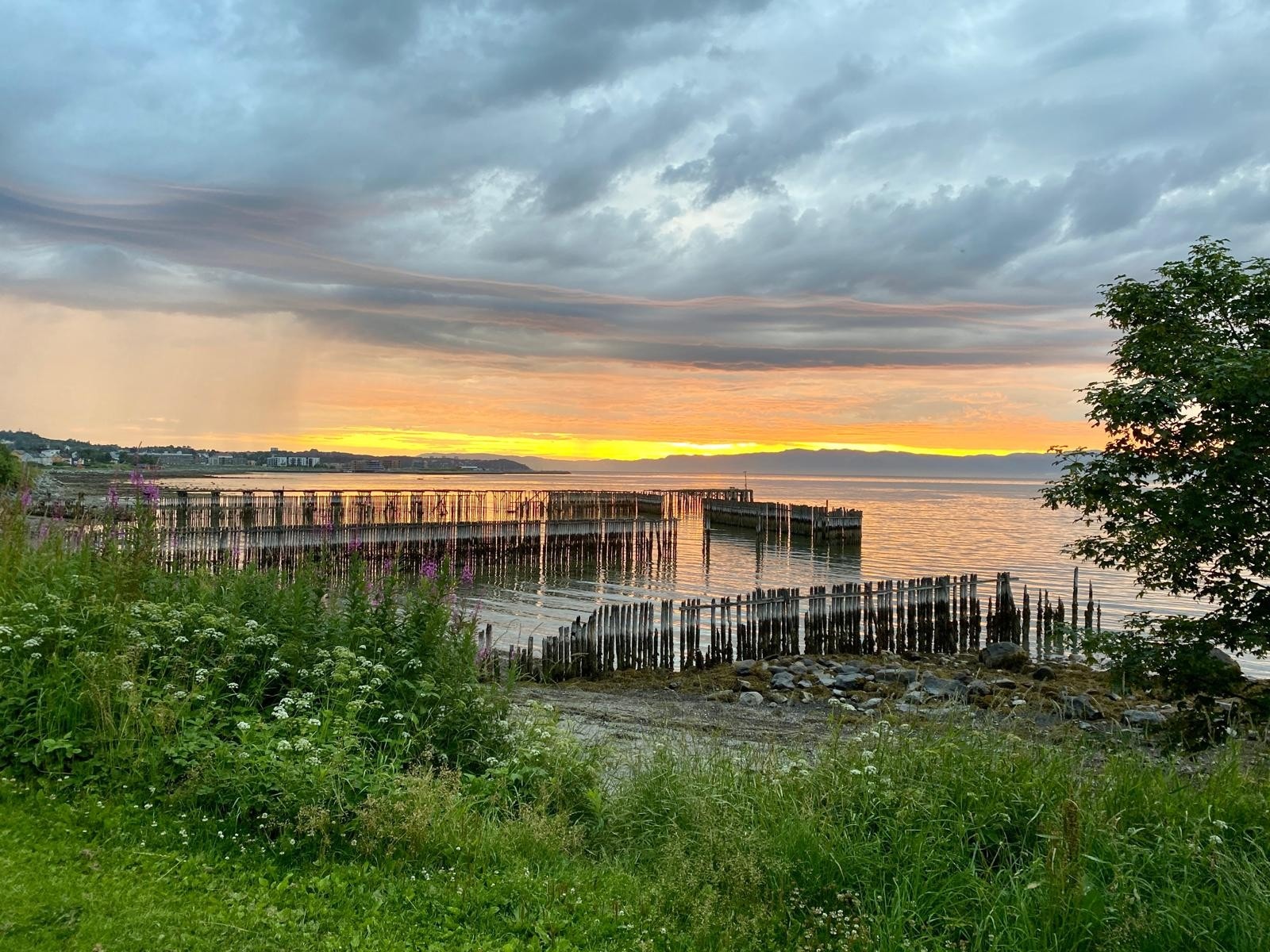 Foto tatt av selger - Trondheimsfjorden Galleribilde