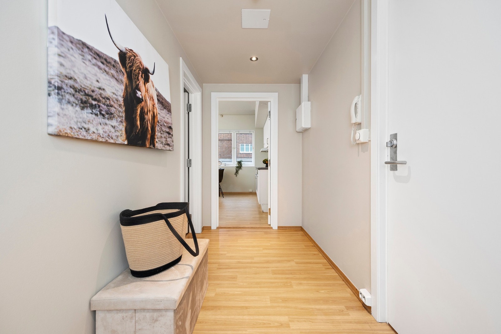 Romslig entré med dørcalling og downlights i taket. Galleribilde