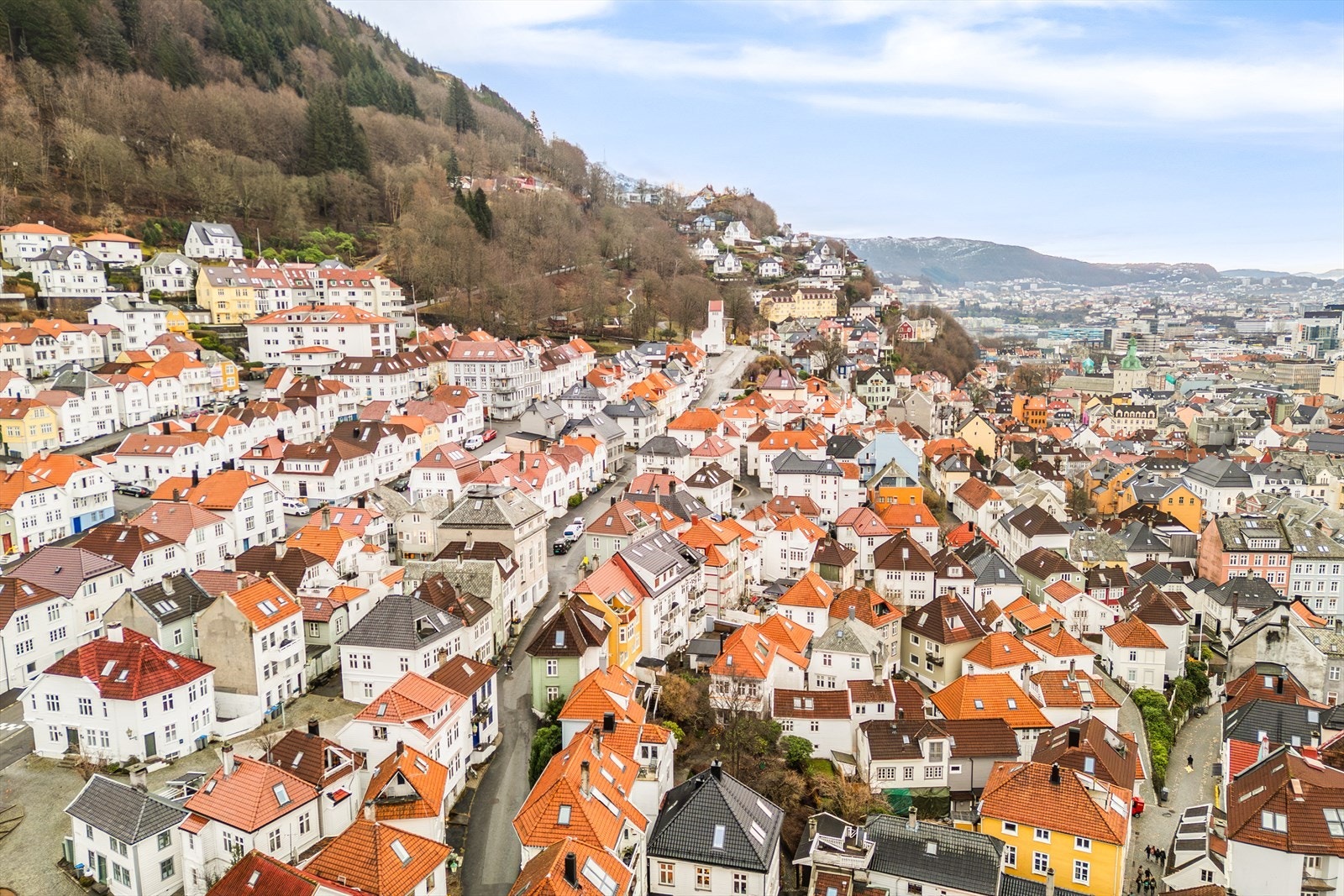 Fra boligen har du rask tilgang til stier og smau som leder opp mot Fjellveien, Fløyen og Stoltzekleiven. Galleribilde