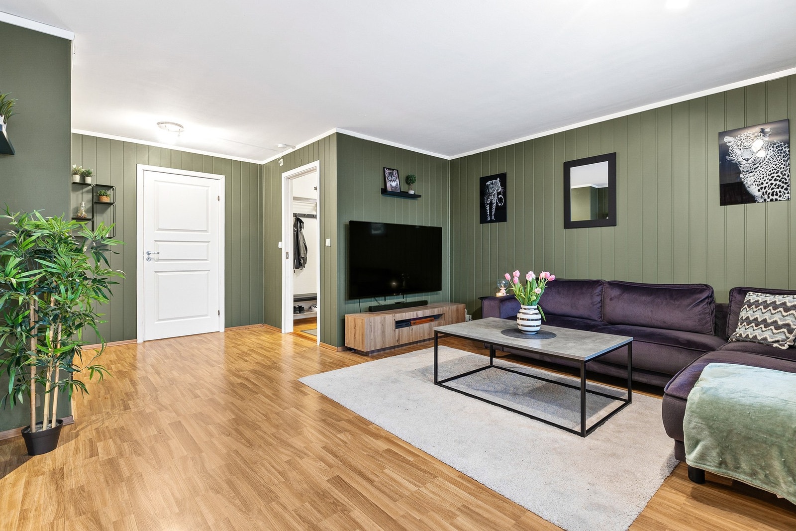 Stuen er malt i en moderne grønnfarge Galleribilde