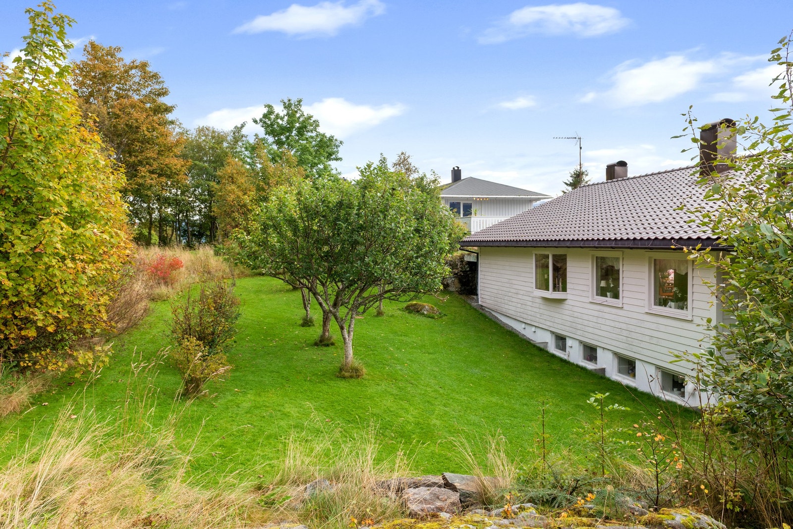 Hagen på baksiden av huset. Galleribilde