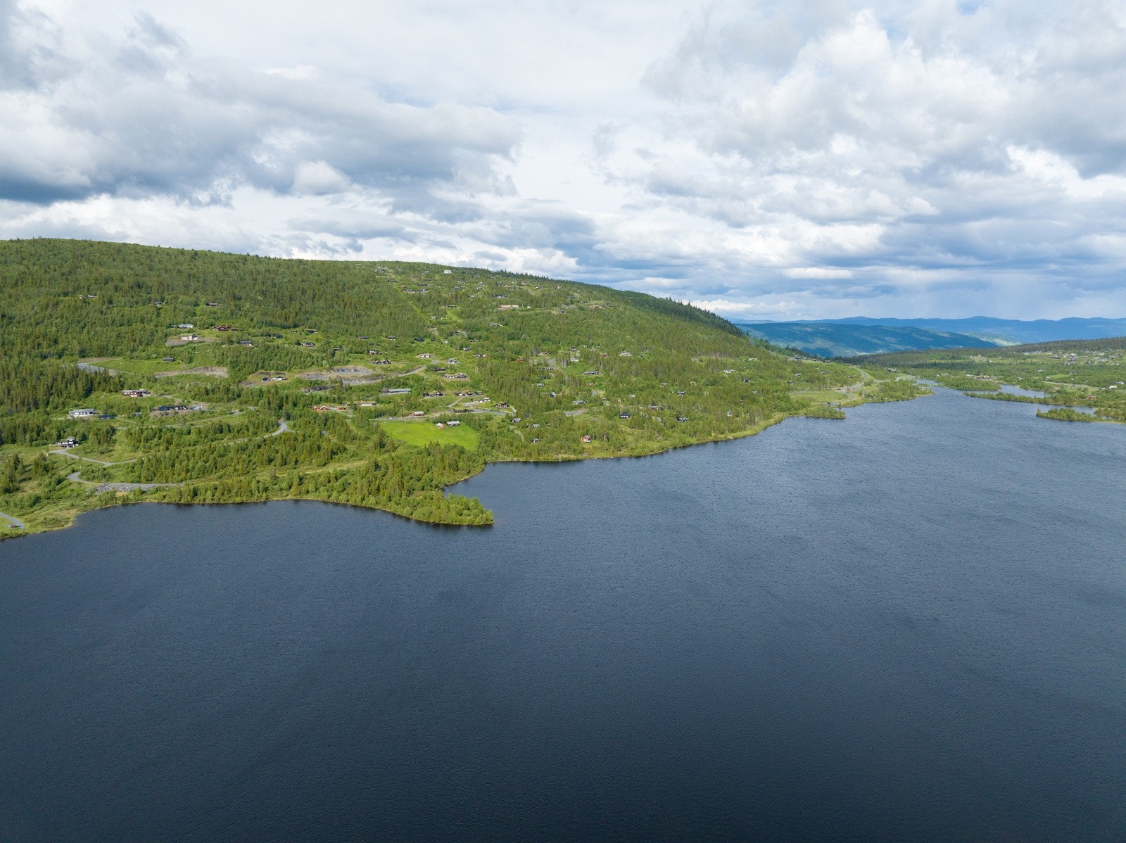Frigarden med Vaset i bakgrunnen Galleribilde