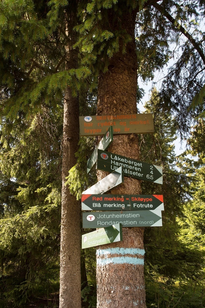 Marka er aldri langt unna (selgers bilde) Galleribilde