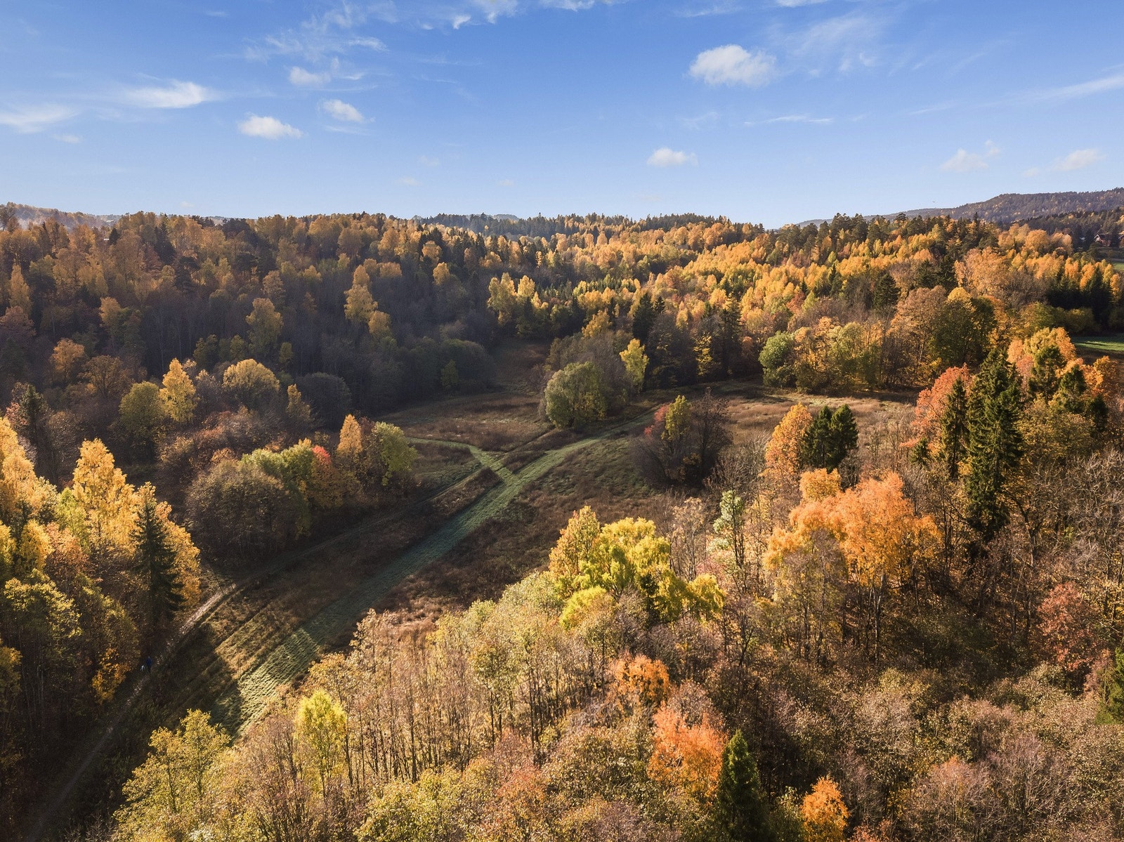 Flotte turstier rett bak boligen. Disse blir til fine skiløyper om vinteren. Galleribilde