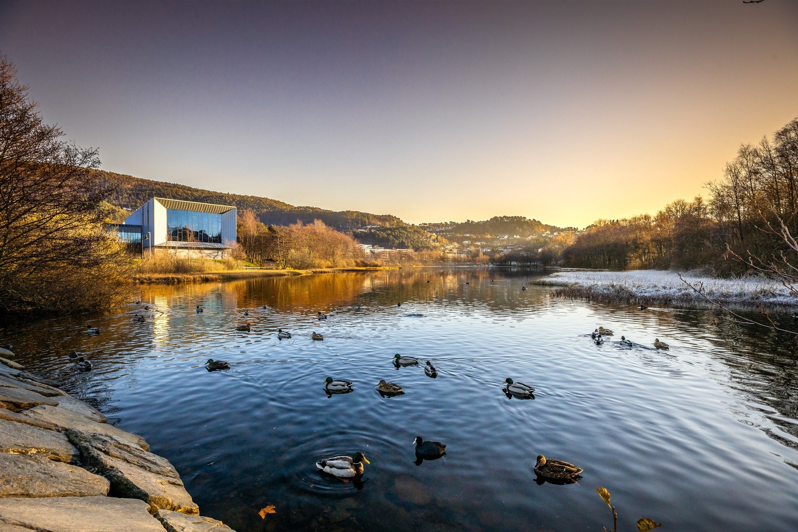 Mange flotte turmuligheter like ved boligen, bl.a. Ortuvannet Galleribilde