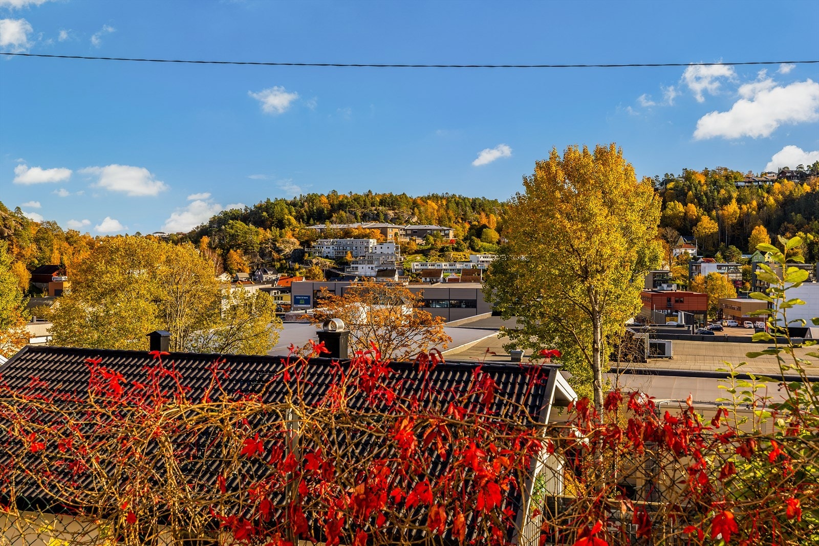 Utsikten fra terrassen Galleribilde