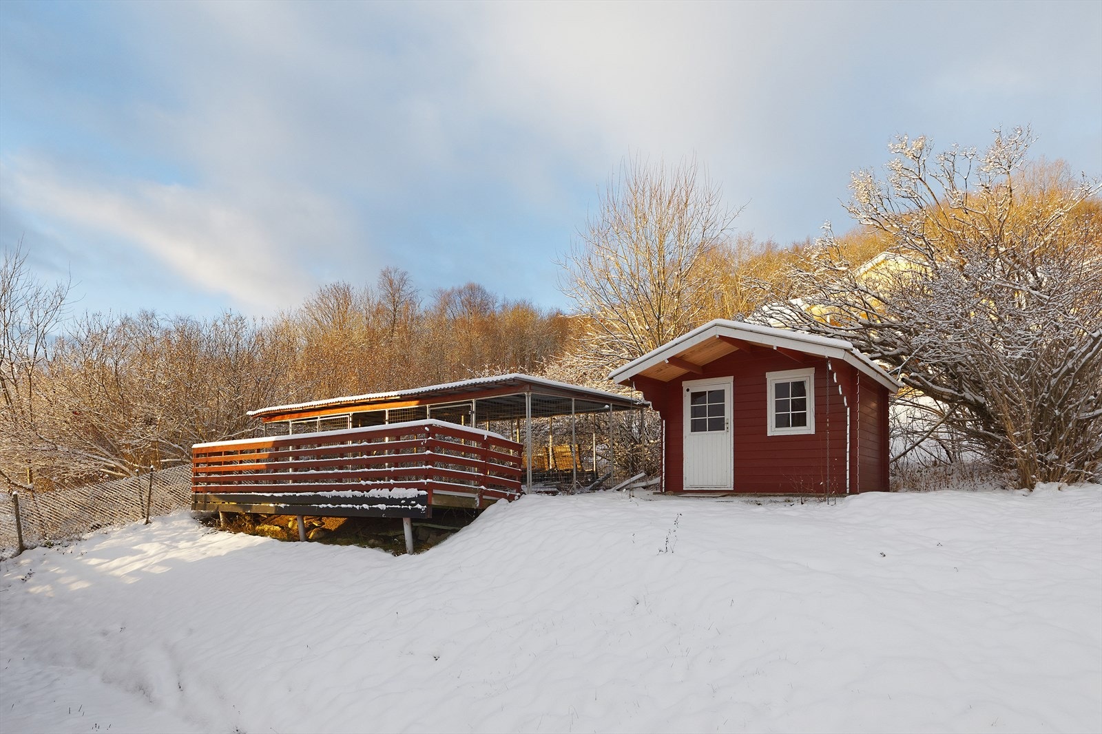 Hundegård og uthus Galleribilde