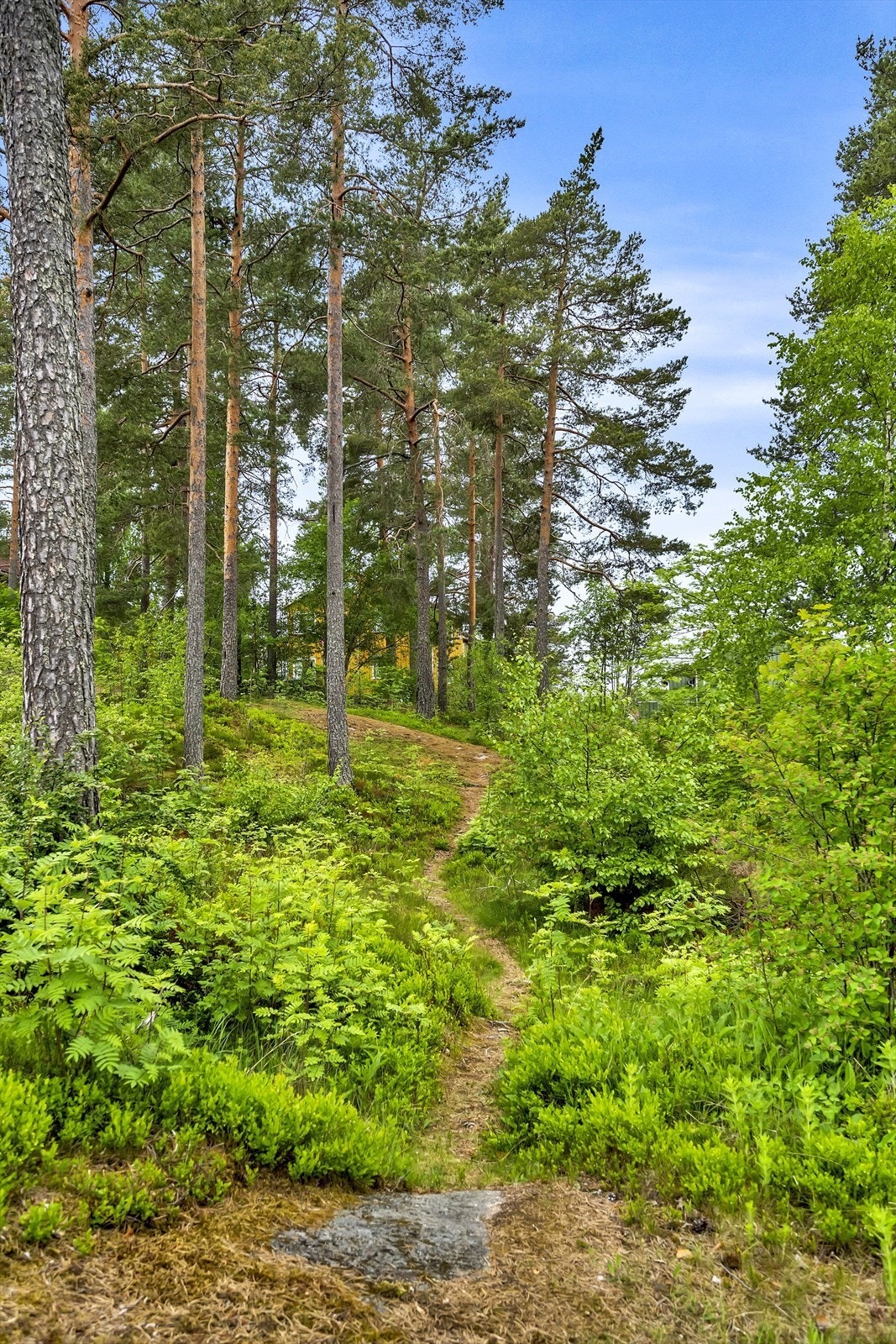 Bor du på Haraløkka å bor du faktisk med marka og naturen som nabo. Et mer idyllisk boområde skal du lenge lete etter! Galleribilde