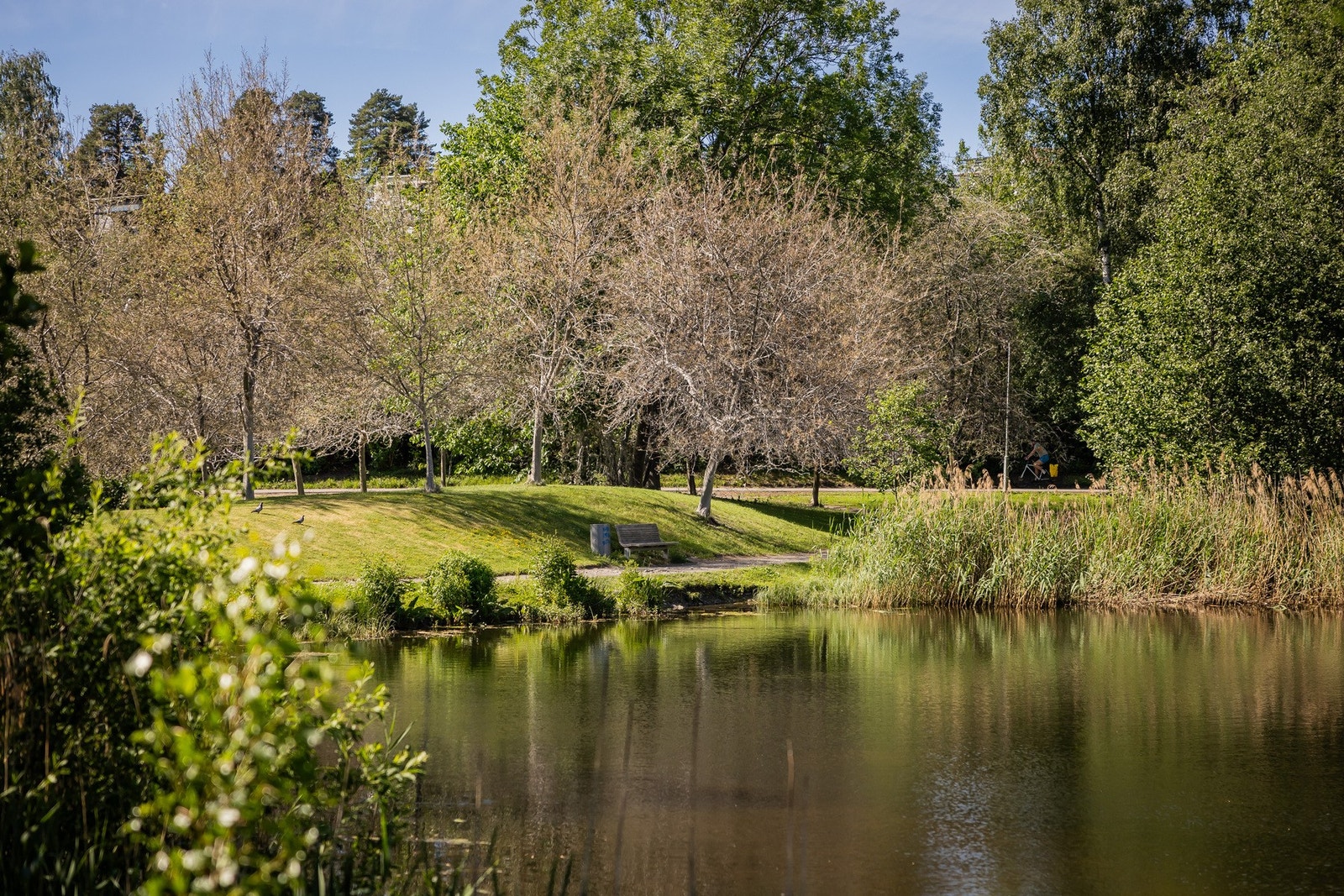 Umiddelbar nærhet til flere hyggelige grøntområder som Makrellbekken, Hoffselva og Smestaddammen. Galleribilde