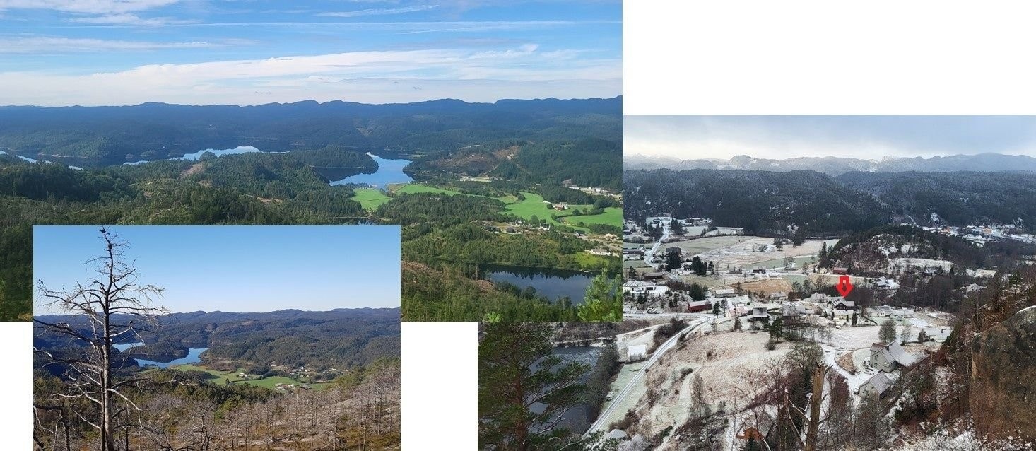 Nærområde: Turterreng Galleribilde