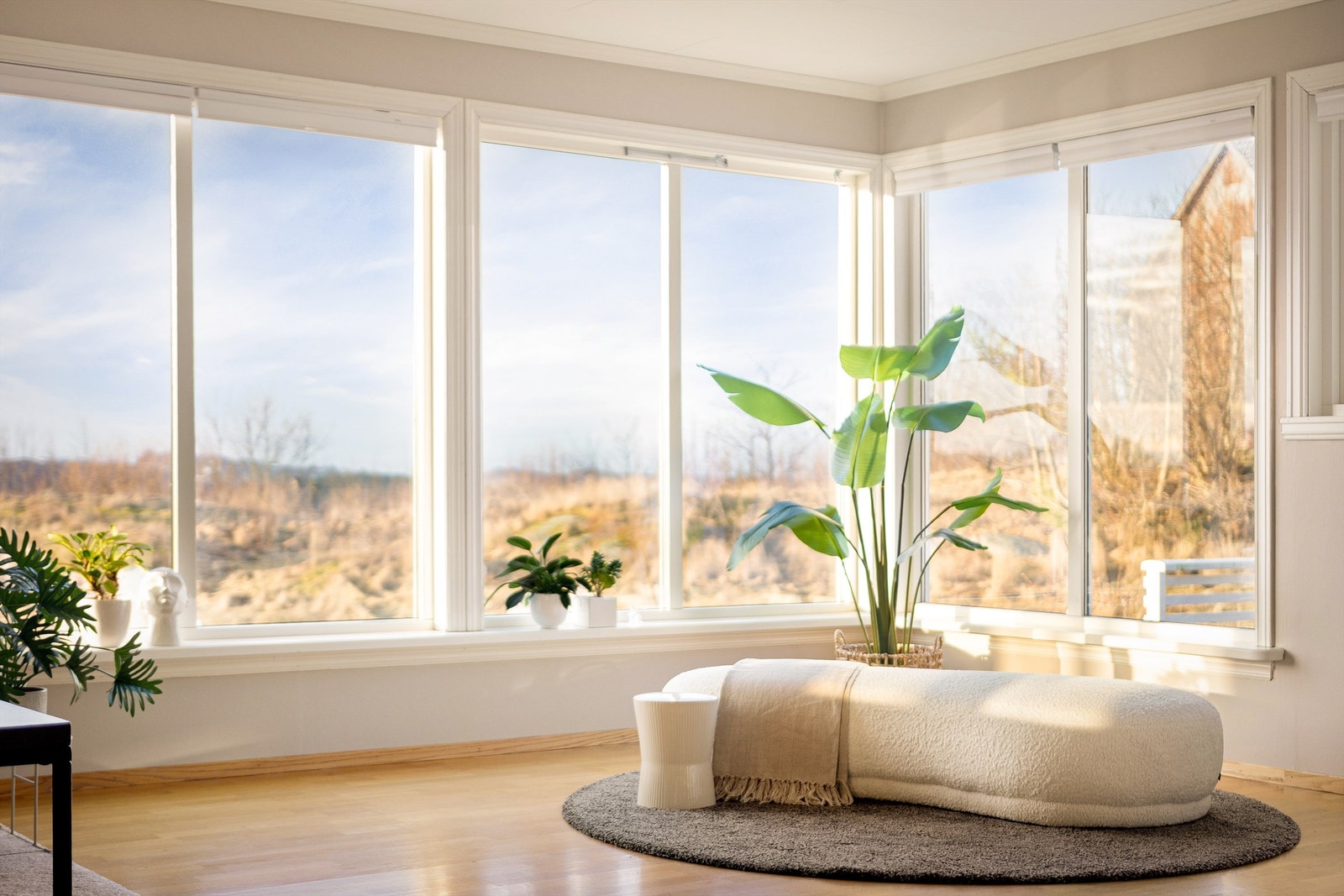 Rikelig med naturlig lys. Galleribilde