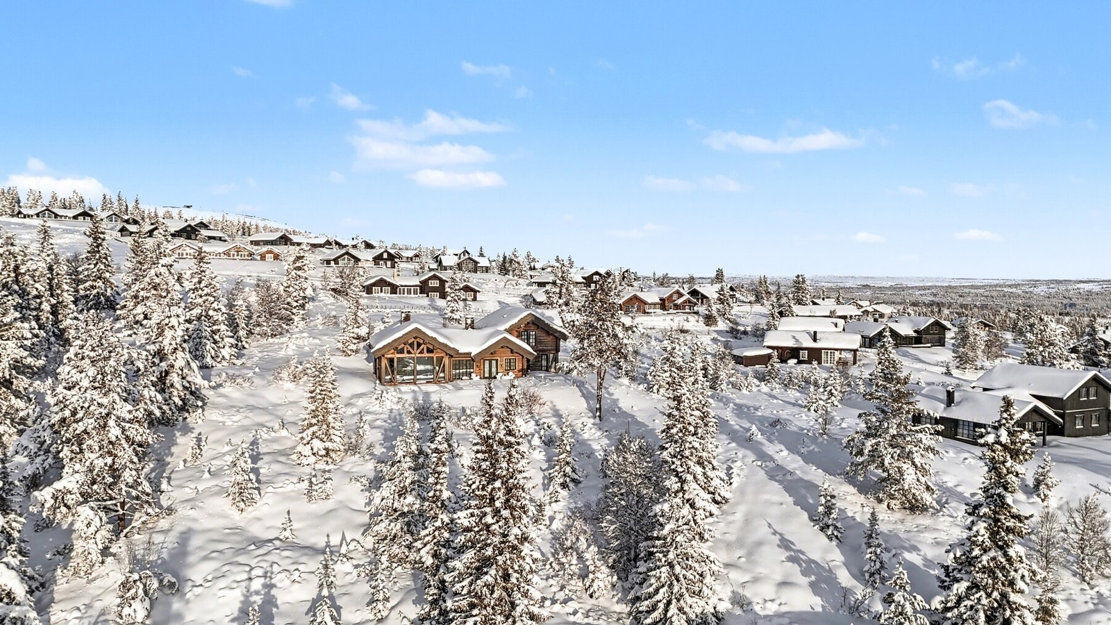 Relativt flat tomt med naturlig skogsvegetasjon rundt tomten. Galleribilde