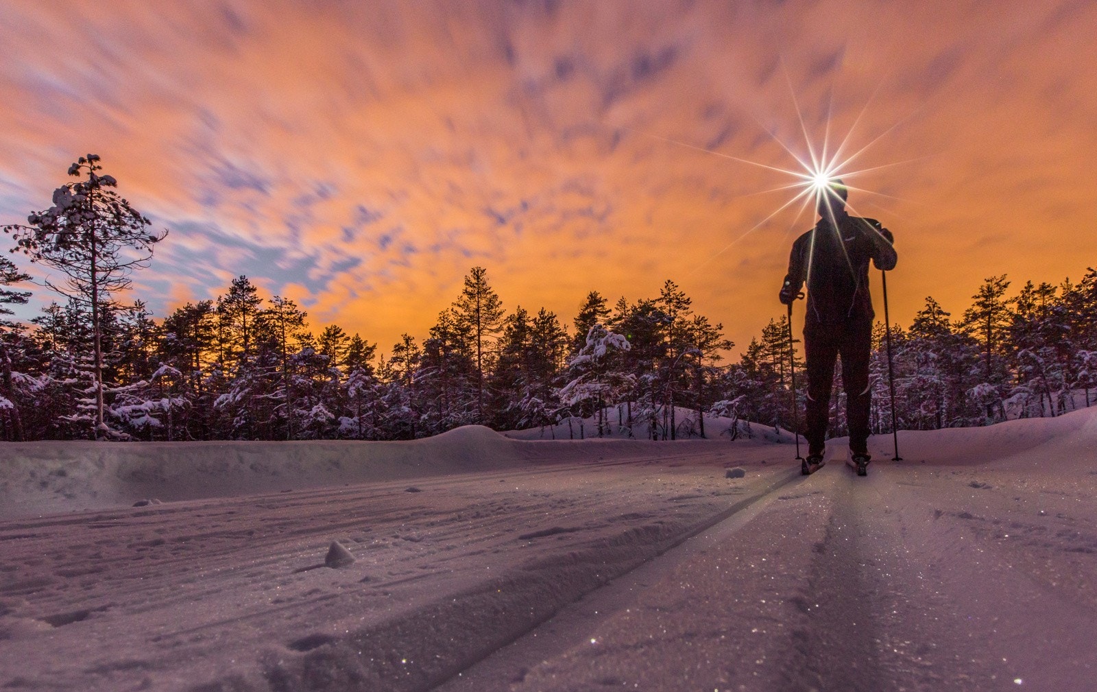På vinterstid er det milelange skiløyper i marka. Galleribilde