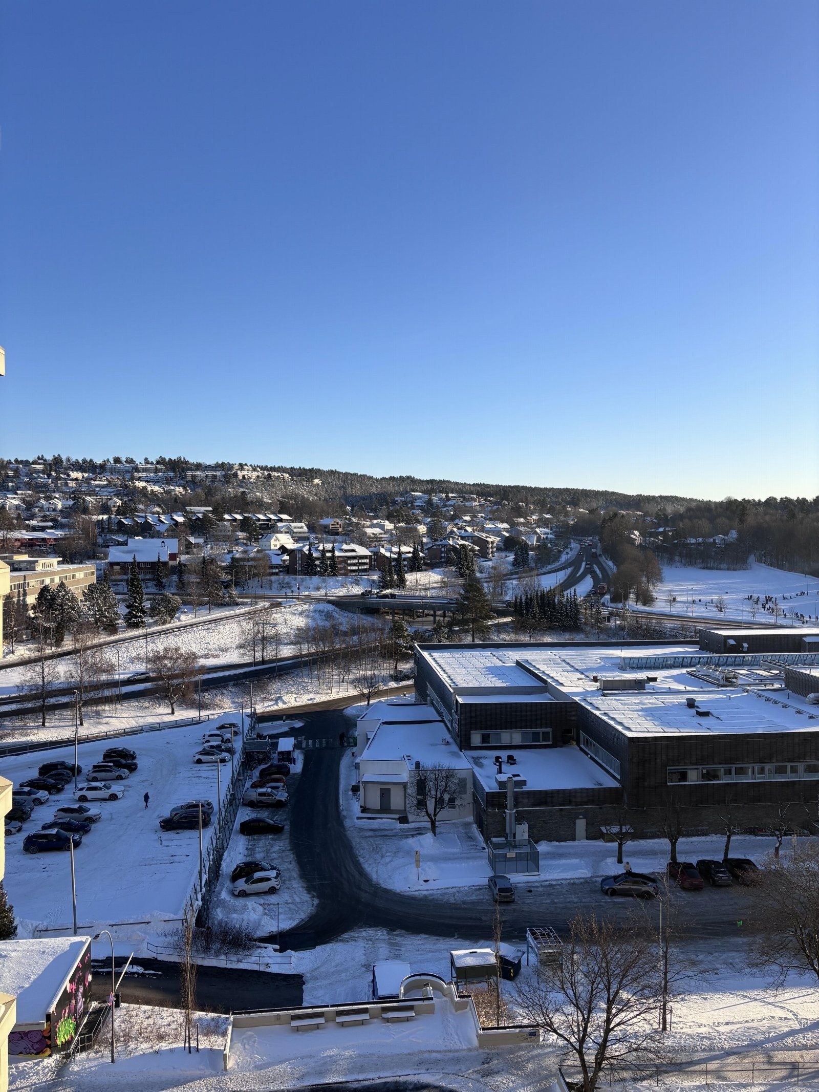 Bilde levert av selger Galleribilde