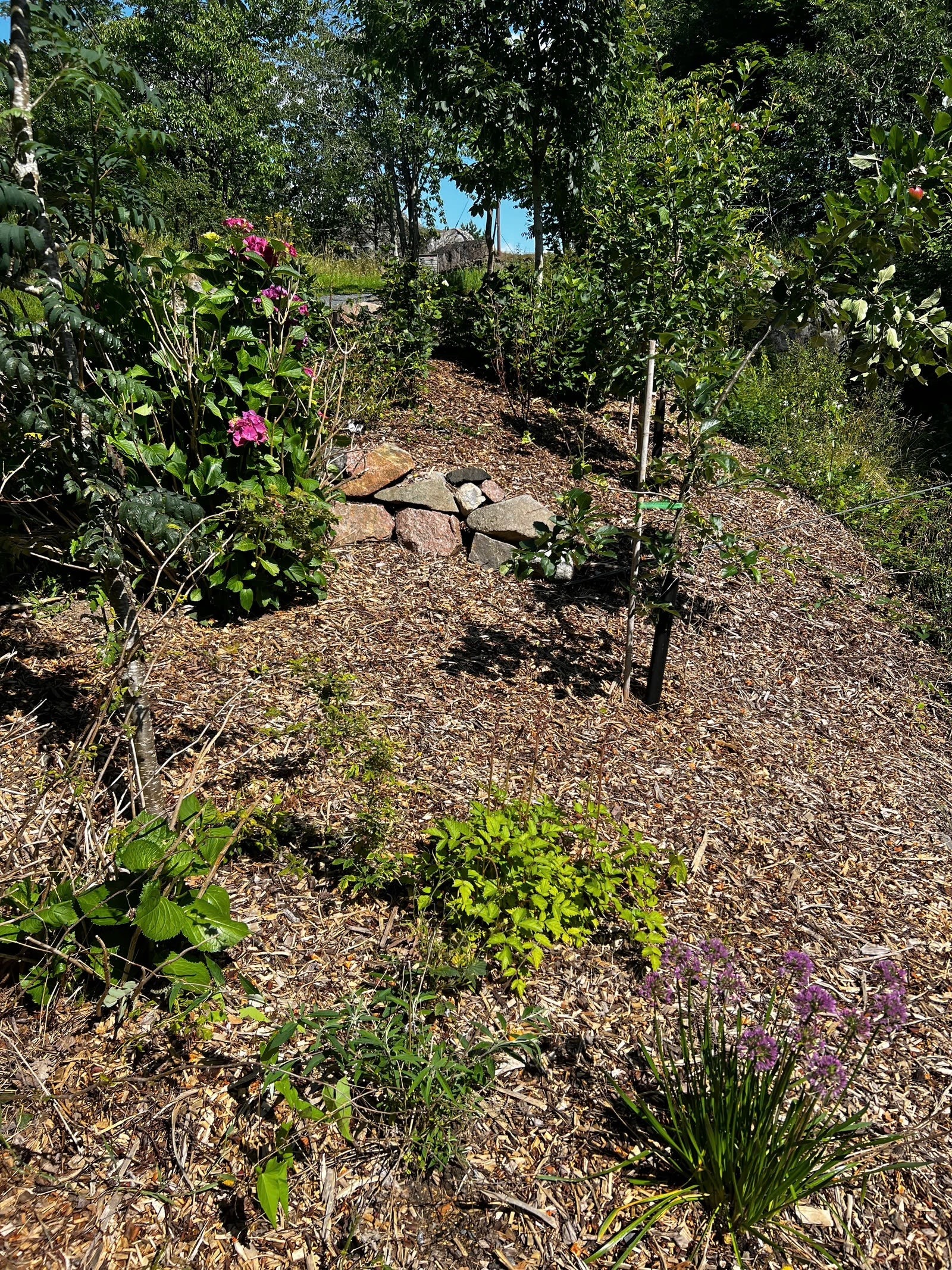 Utearealet er pent opparbeidet med busker, små trær og naturstein Galleribilde