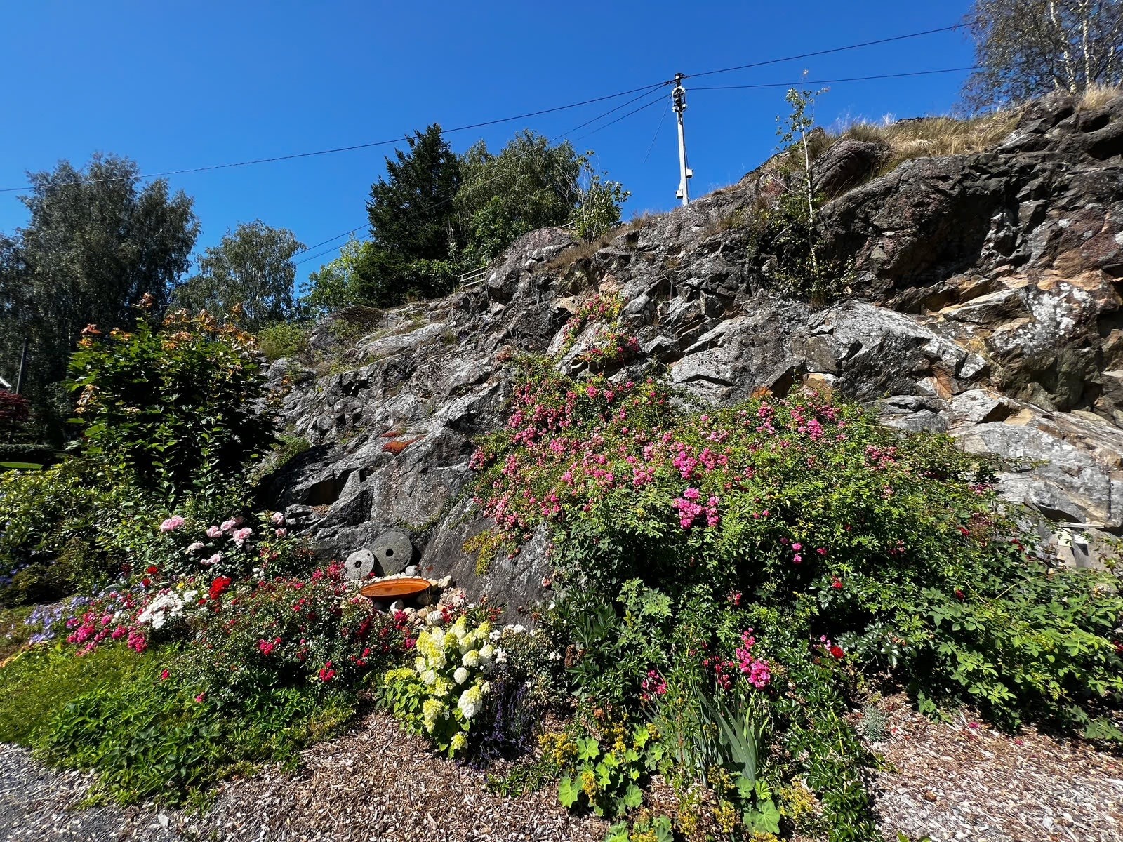 Pent beplantet hage med steinbed og fargerike blomster langs fjellet Galleribilde